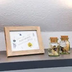 Deichkinder 度假居